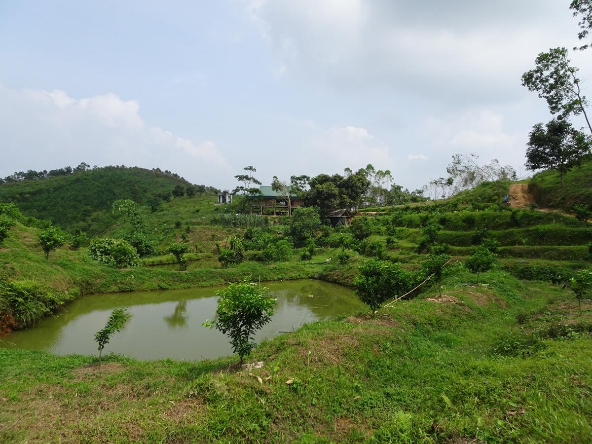 Thac Ba Family Homestay Ho To Exterior foto